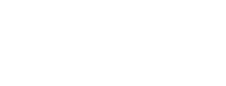 Zgzt b